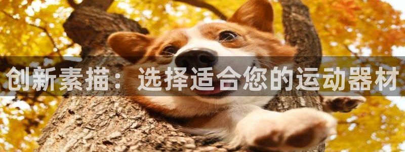 征途国际平台是正规平台吗:创新素描:选择适合您的运动器材