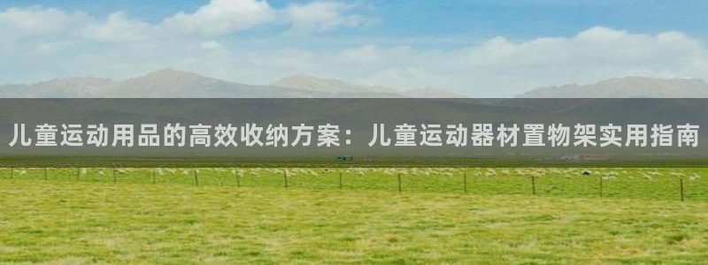 征途国际联系电话:儿童运动用品的高效收纳方案:儿童运动器材置