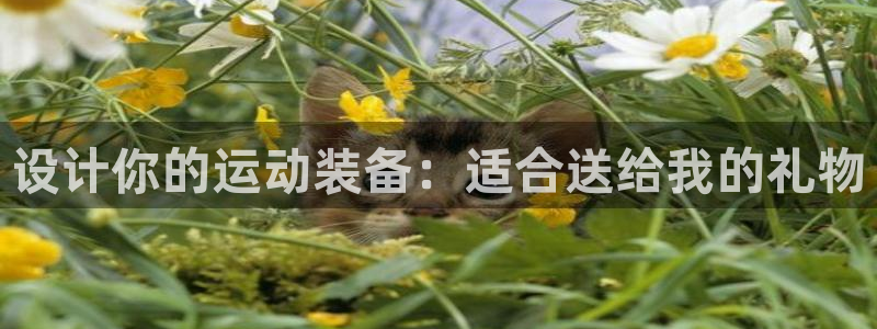 征途国际娱乐首页网站大全:设计你的运动装备:适合送给我的礼物