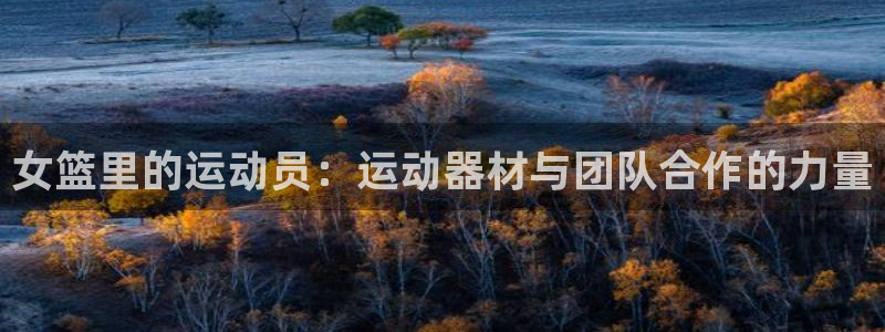 征途国际开户:女篮里的运动员:运动器材与团队合作的力量