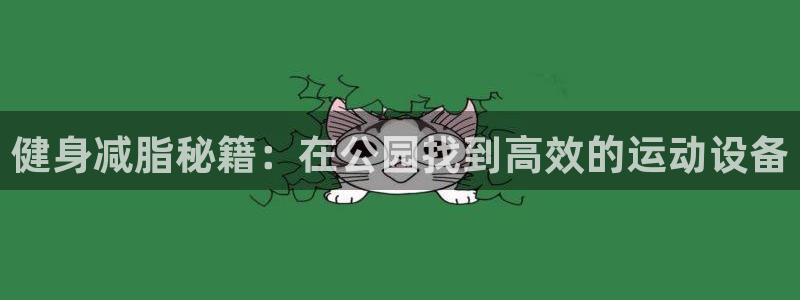 征途国际代理:健身减脂秘籍:在公园找到高效的运动设备